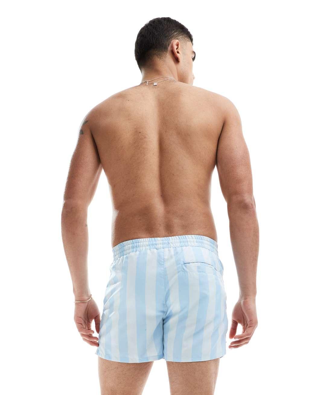 Aray stripe print swim shorts in blue Product Image