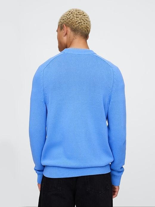 Raglan Crewneck Sweater Product Image