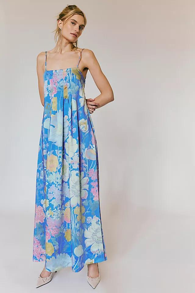 Botanical Maxi Dress Product Image