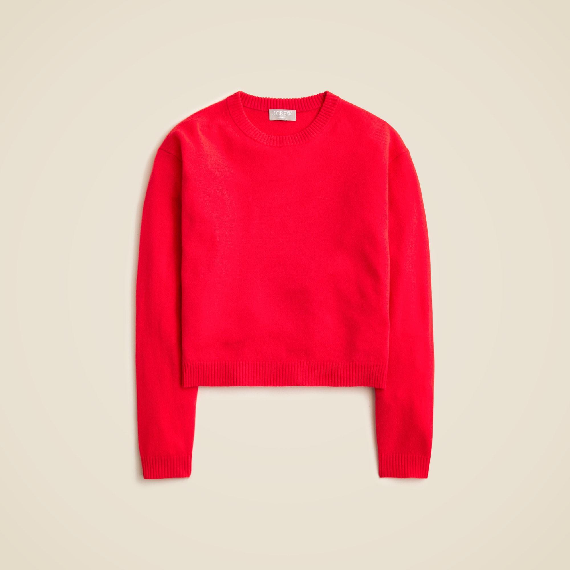 Cashmere everyday crewneck sweater Product Image