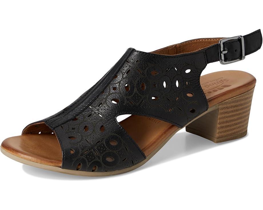 Spring Step Product Image