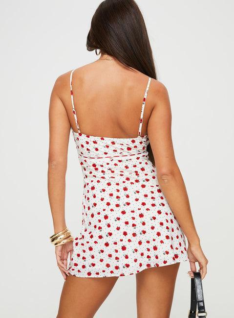 Karena Mini Dress White / Red Floral Product Image