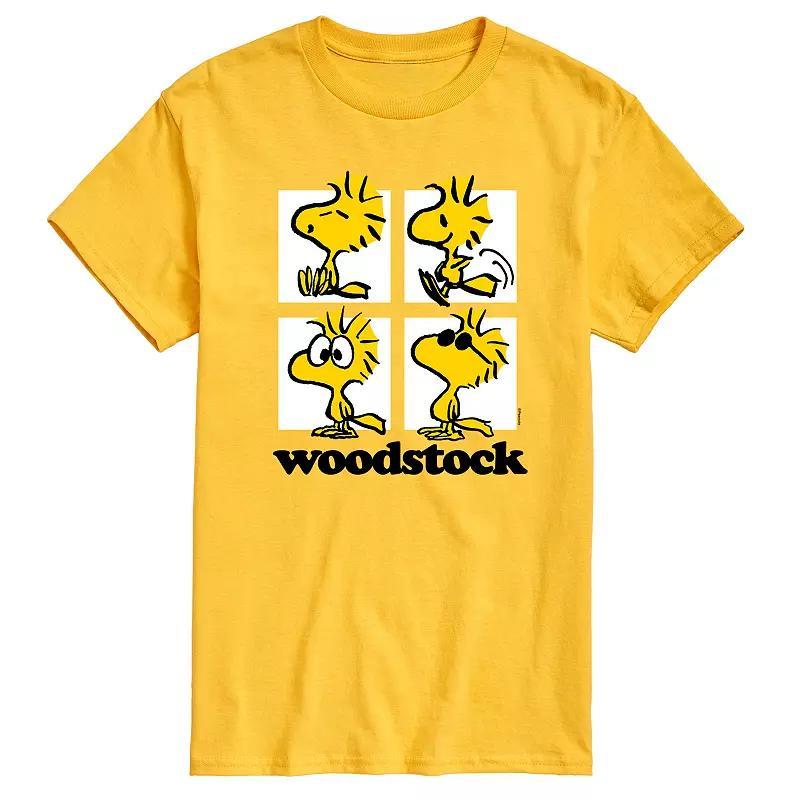 Big & Tall Peanuts Woodstock Grid Graphic Tee, Men's,  Product Image