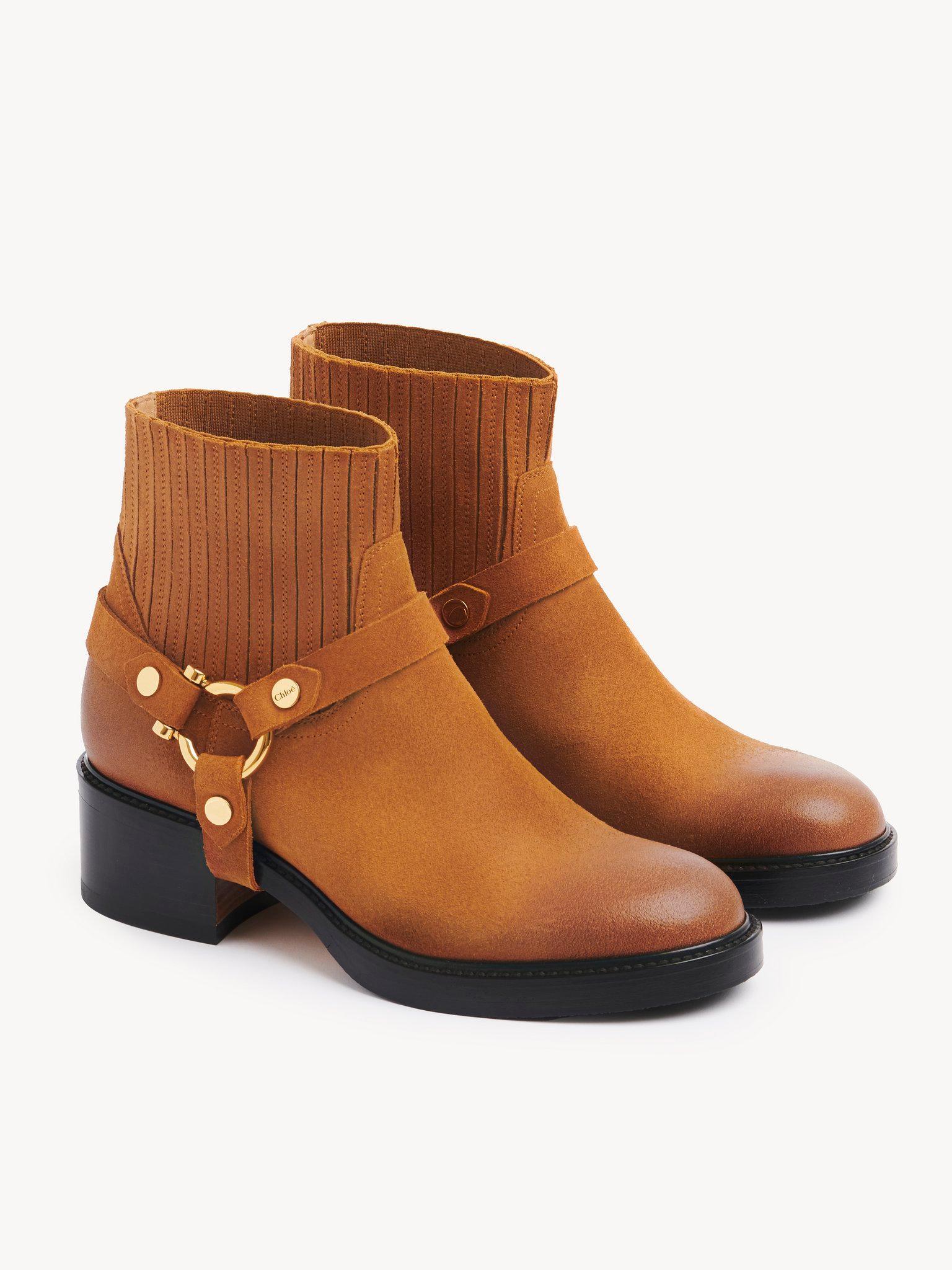 Dakota ankle boot Product Image