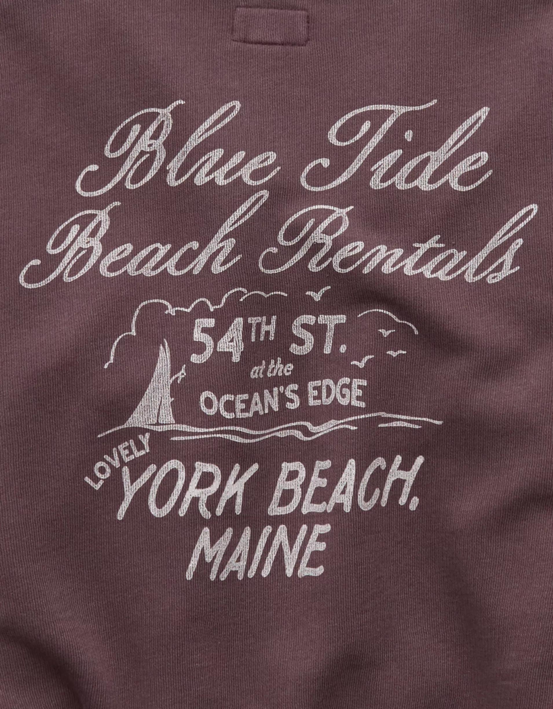 AE Relaxed Fit Destination Graphic Sweatshirt Product Image