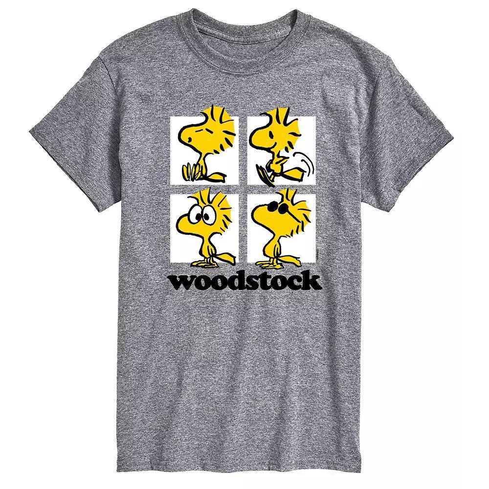 Big & Tall Peanuts Woodstock Grid Graphic Tee, Men's,  Product Image