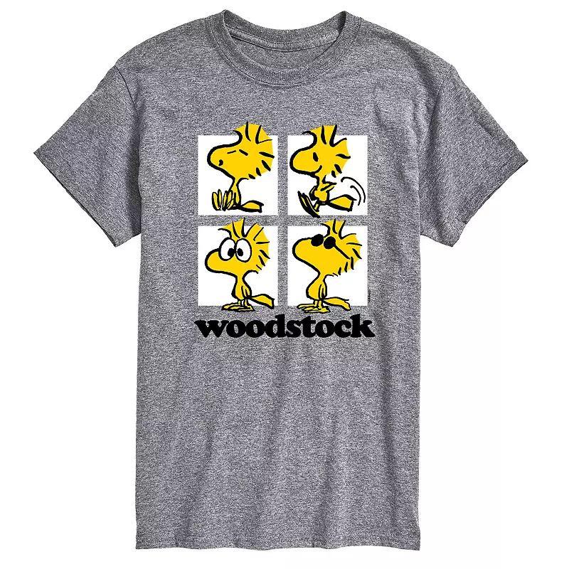 Big & Tall Peanuts Woodstock Grid Graphic Tee, Men's,  Product Image