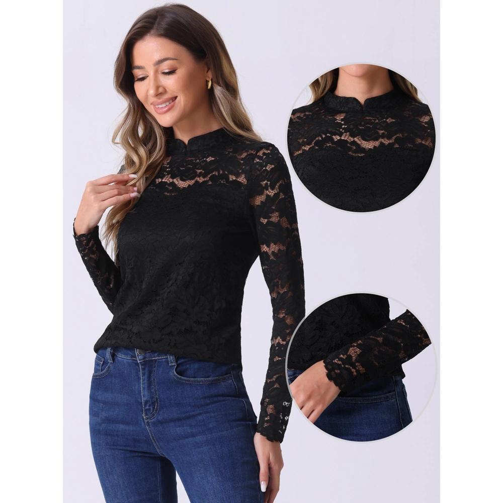 Allegra K Women's Semi Sheer Lace Long Sleeve Round Neck Work Casual Vintage Top Product Image