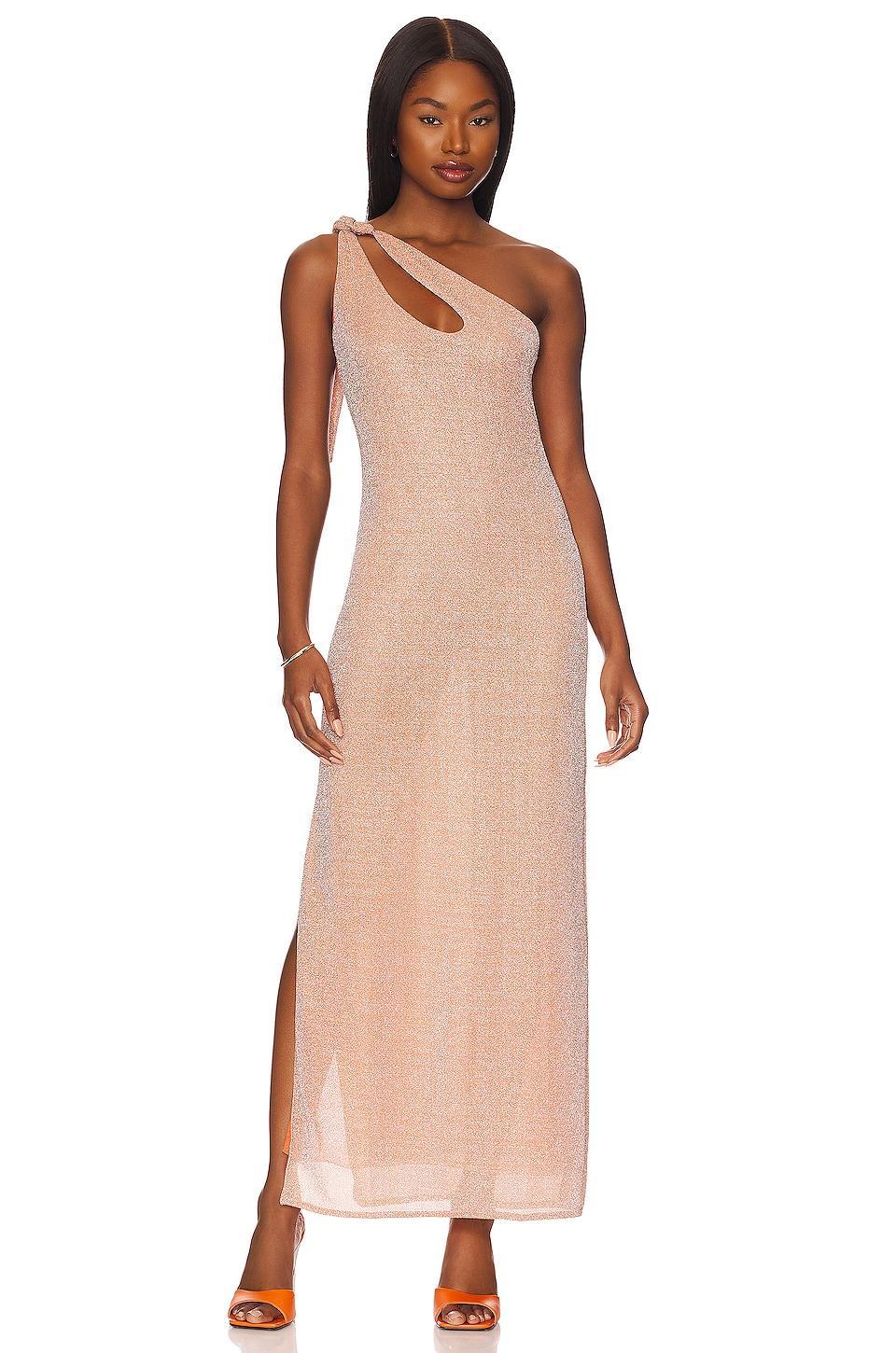 x REVOLVE Taki Maxi Dress Baobab Product Image