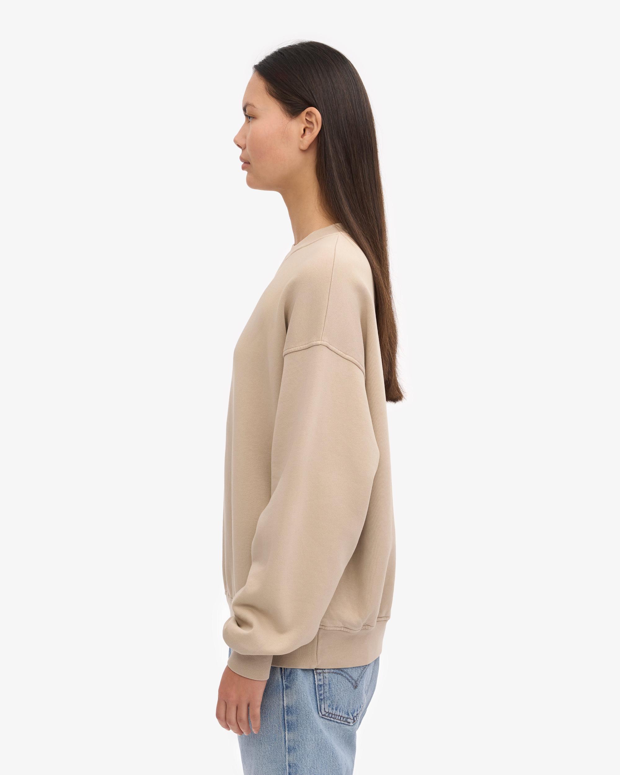 Organic Oversized Crew - Oyster Grey Product Image
