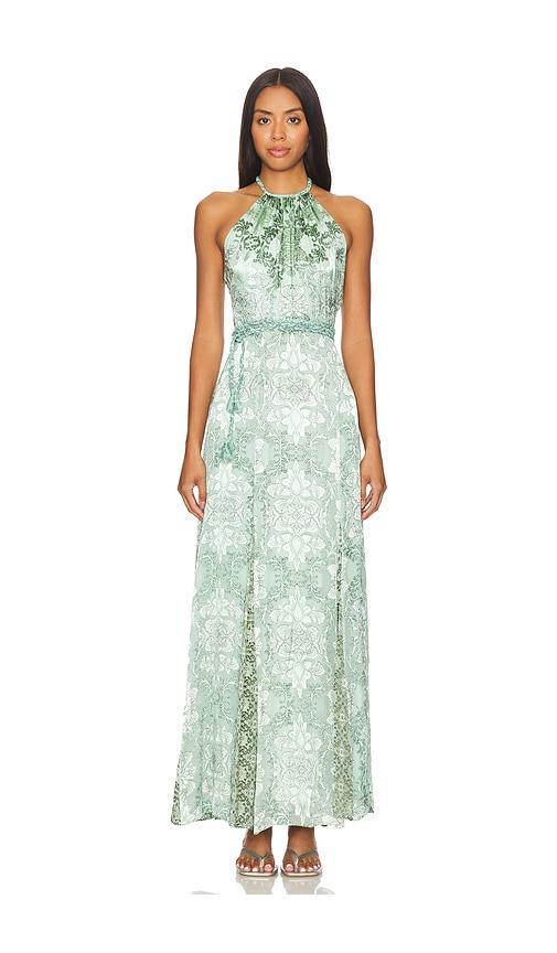 Danika Halter Maxi Dress With Belt Alice + Olivia Product Image