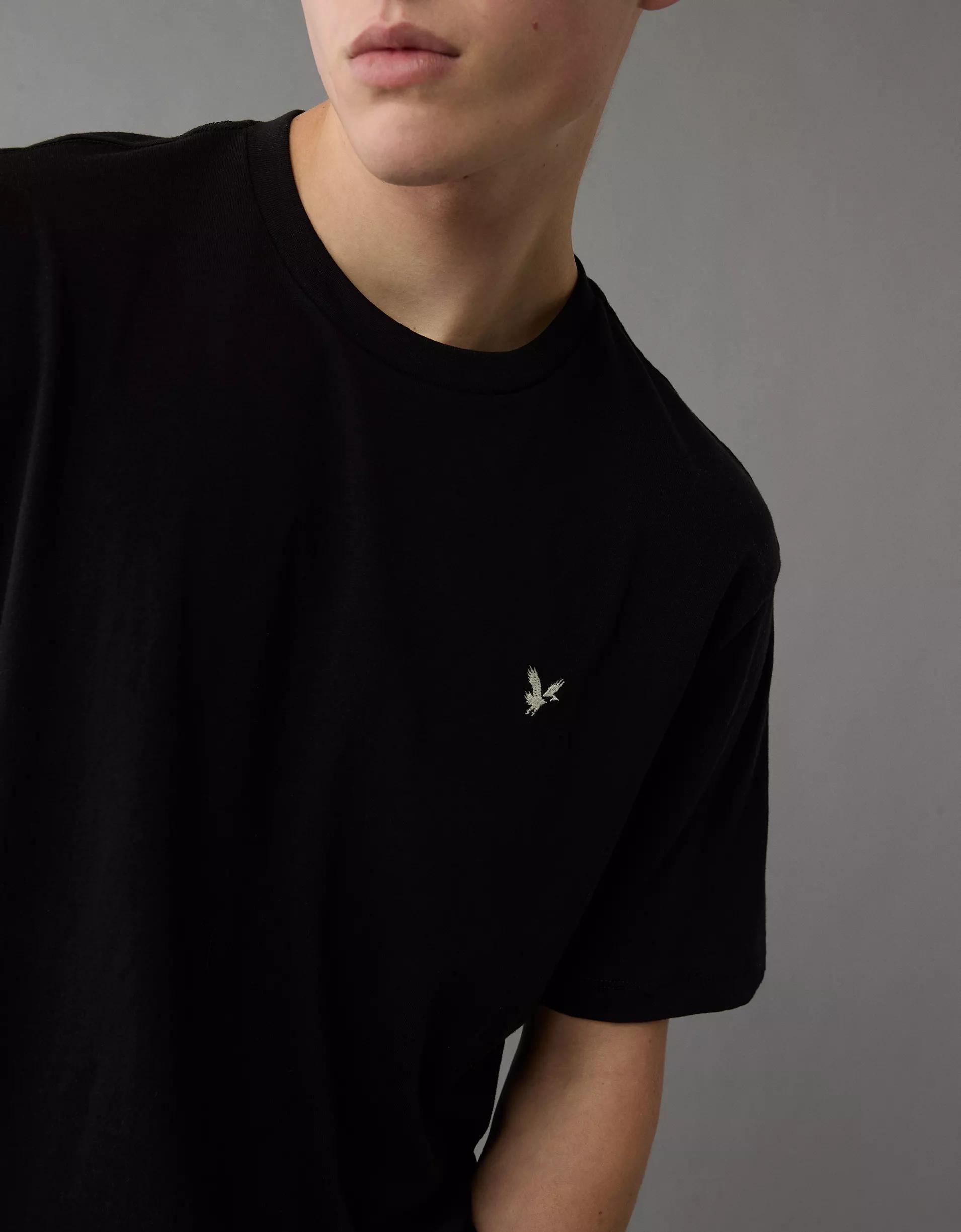 AE Lightweight Icon T-Shirt Men's Product Image