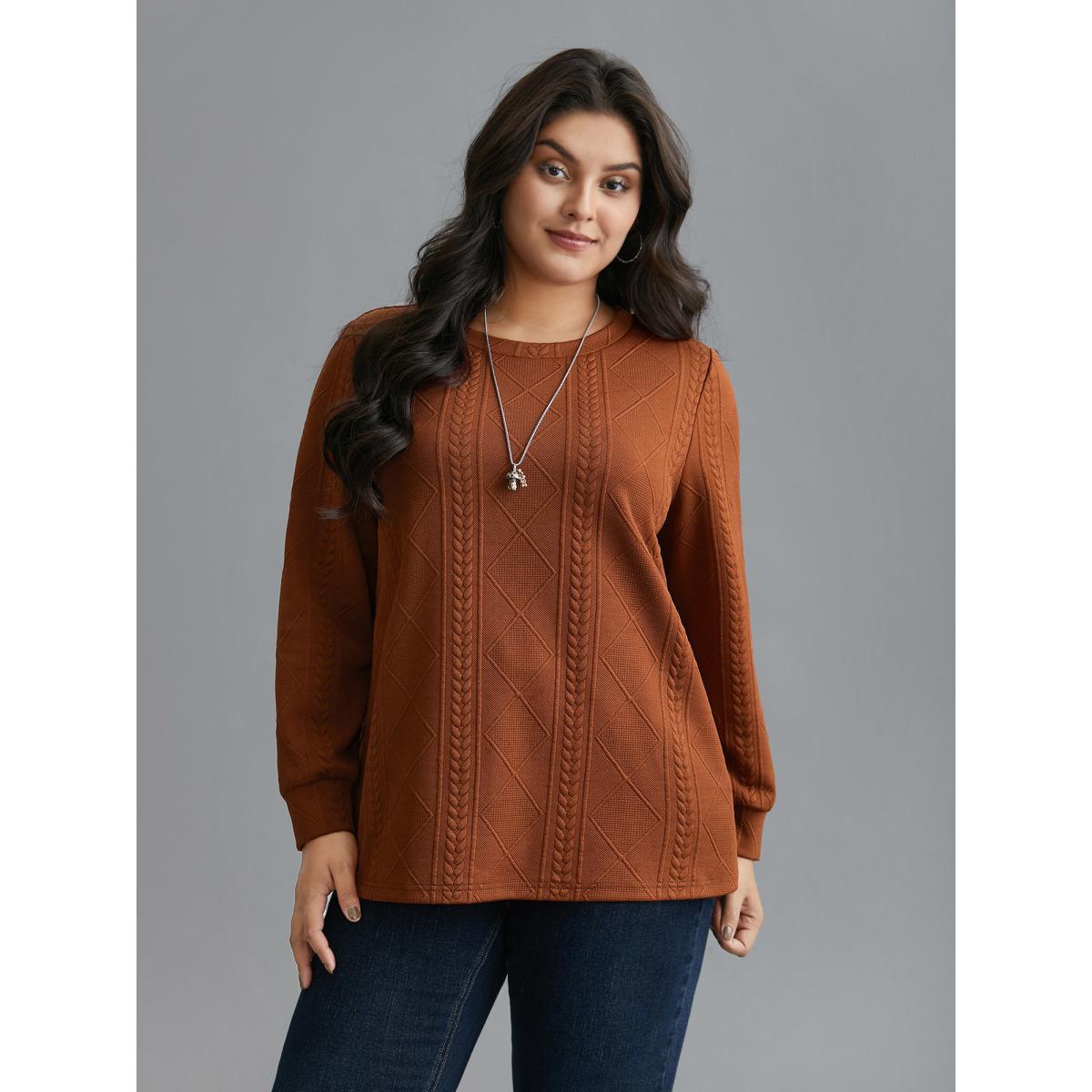 Plus Size Textured Round Neck Stretchy Sweatshirt Women Rust Casual Texture Round Neck Everyday Sweatshirts BloomChic 28/5X Product Image