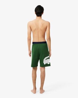 Straight Cut Fleece Loungewear Shorts Product Image