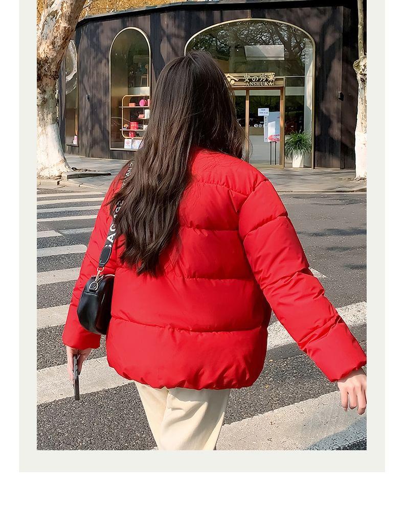 High Neck Zip-Up Plain Puffer Jacket Product Image