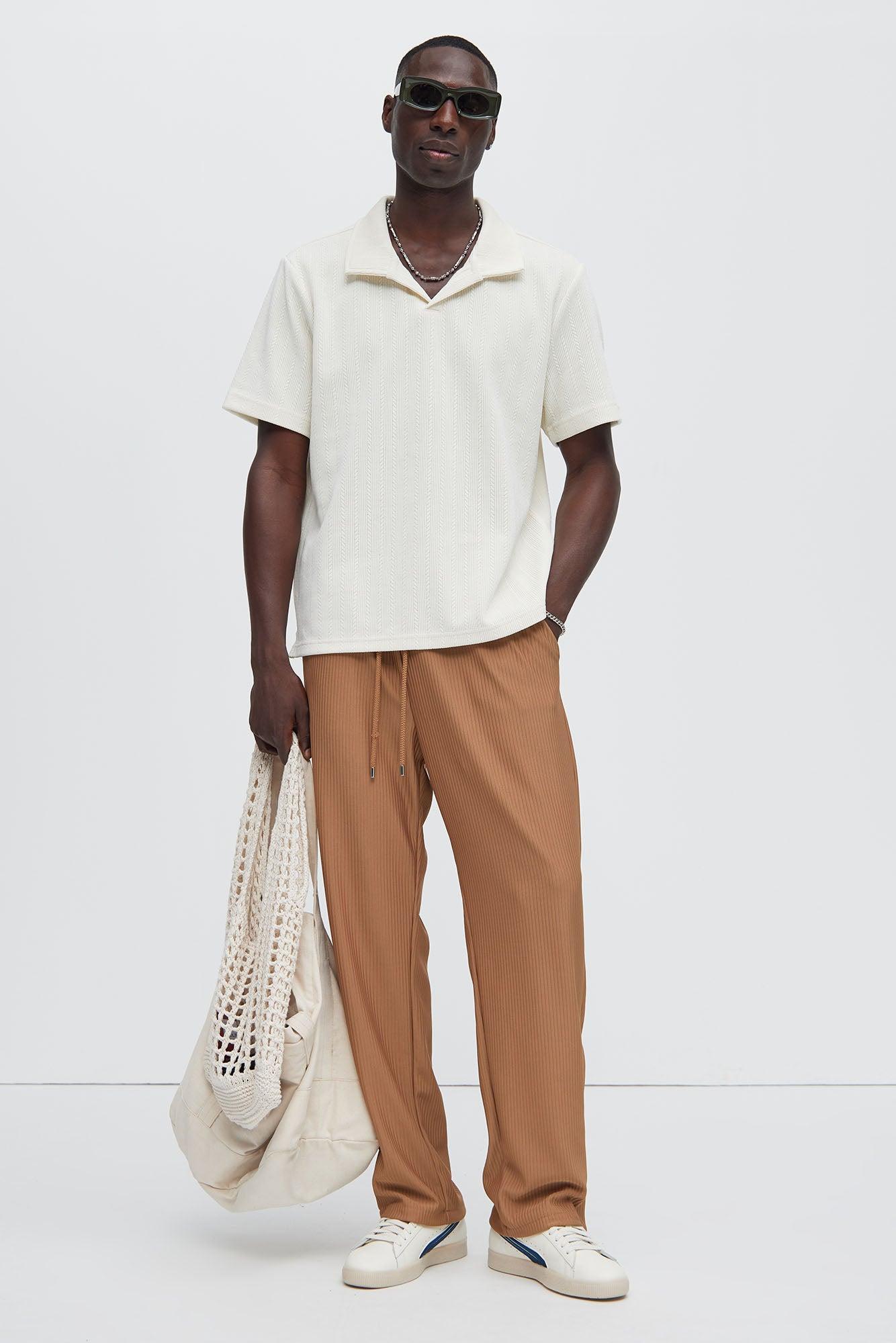 Archway Pleated Pants - Brown Product Image