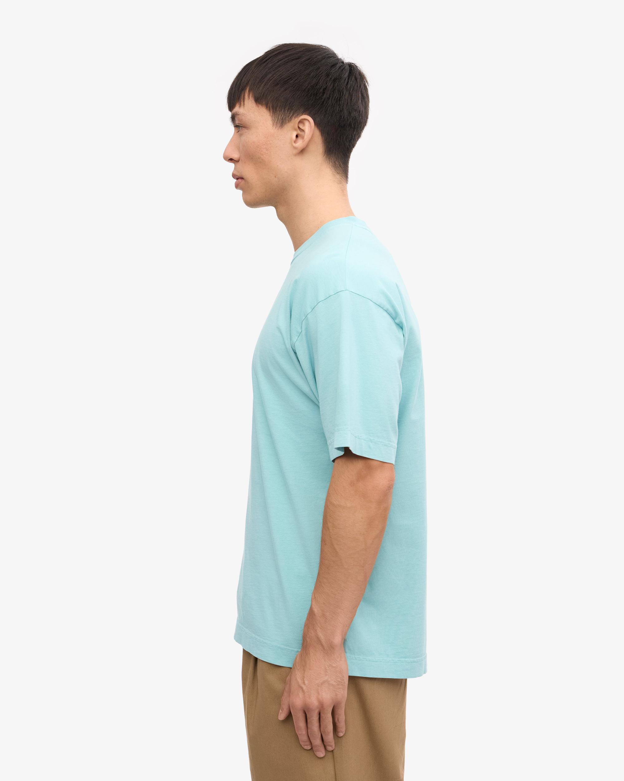 Oversized Organic T-Shirt - Spring Green Product Image