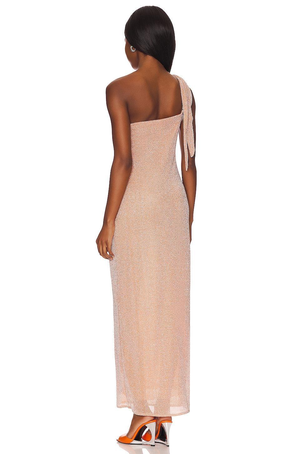 x REVOLVE Taki Maxi Dress Baobab Product Image