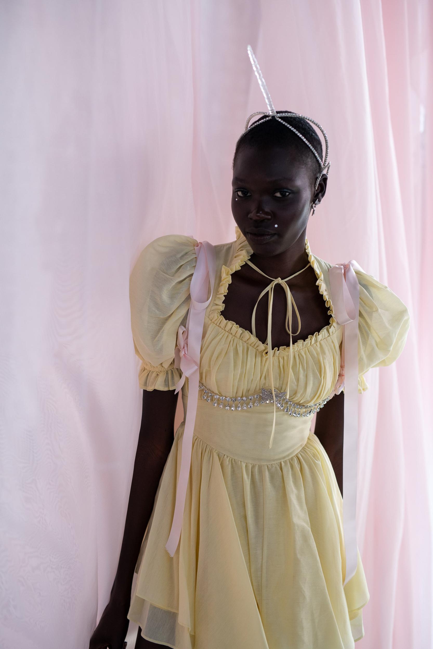 The Twinkie Portrait of a Lady Dress Product Image