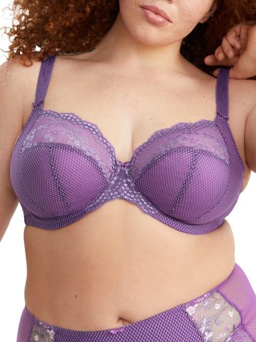 Charley Side Support Plunge Bra Product Image