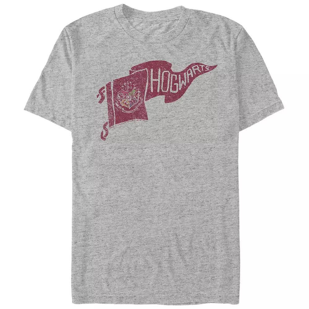 Big & Tall Harry Potter Hogwarts Pennant Graphic Tee, Men's,  Product Image