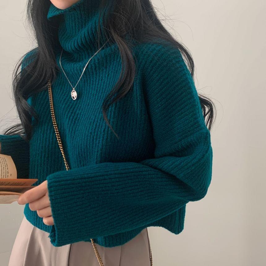 Turtleneck Plain Ribbed Cropped Sweater Product Image