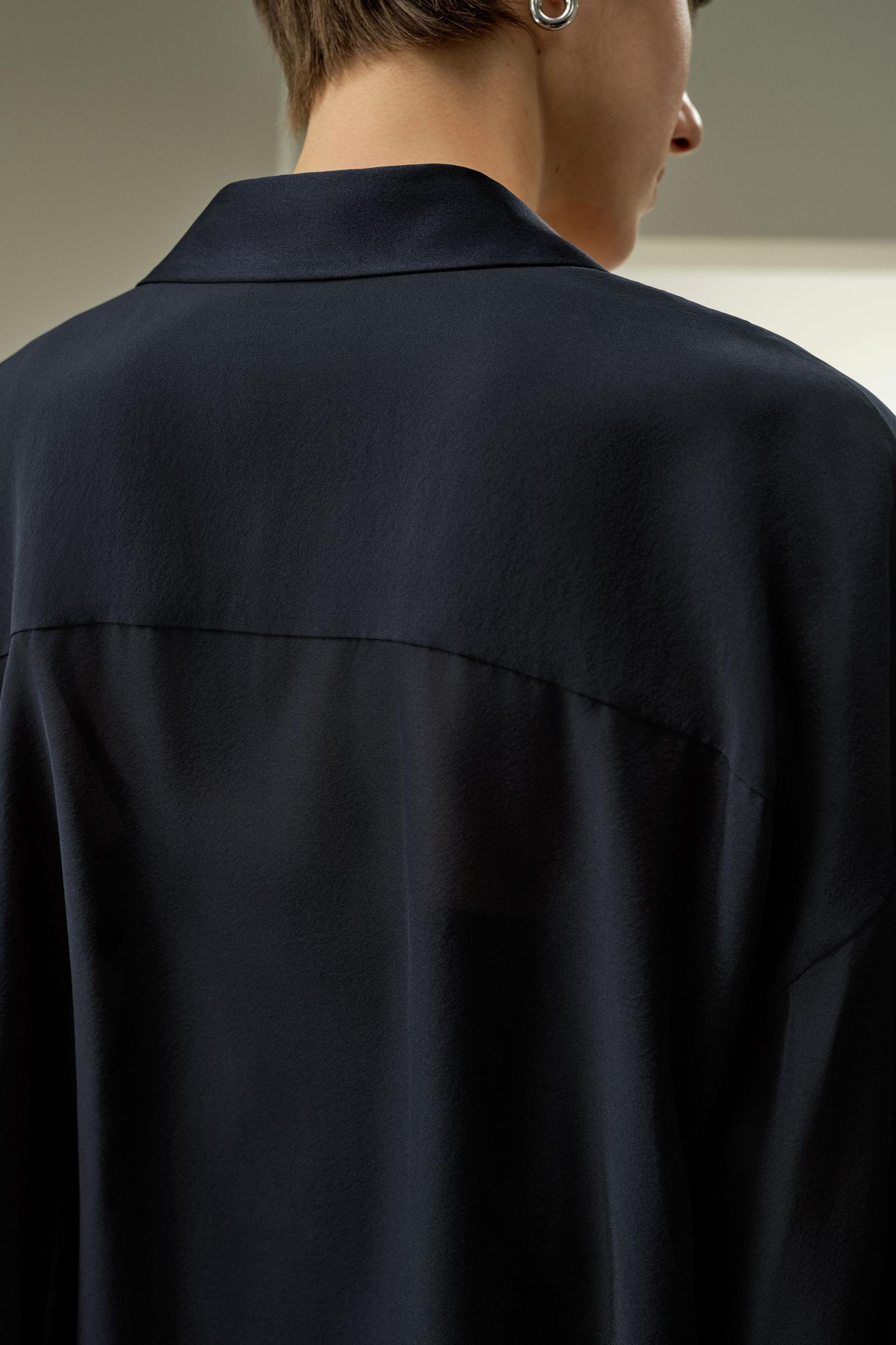 Semi-Sheer Silk Chiffon Blouse Product Image