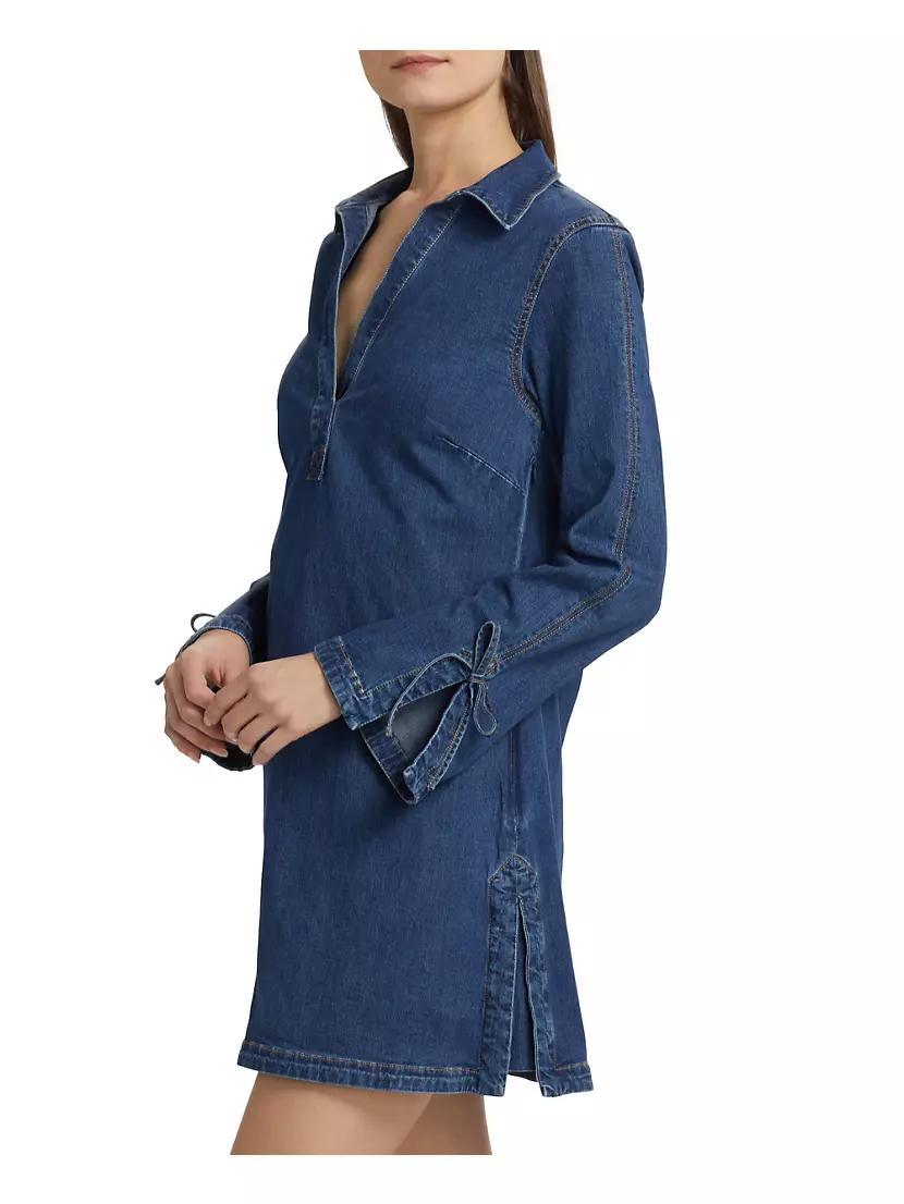 Aster Denim Minidress Product Image