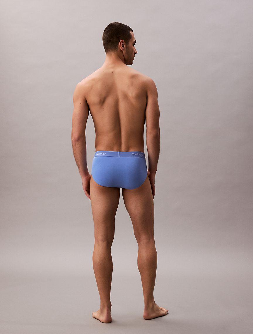 Icon Cotton Stretch Pride 5-Pack Hip Brief Product Image