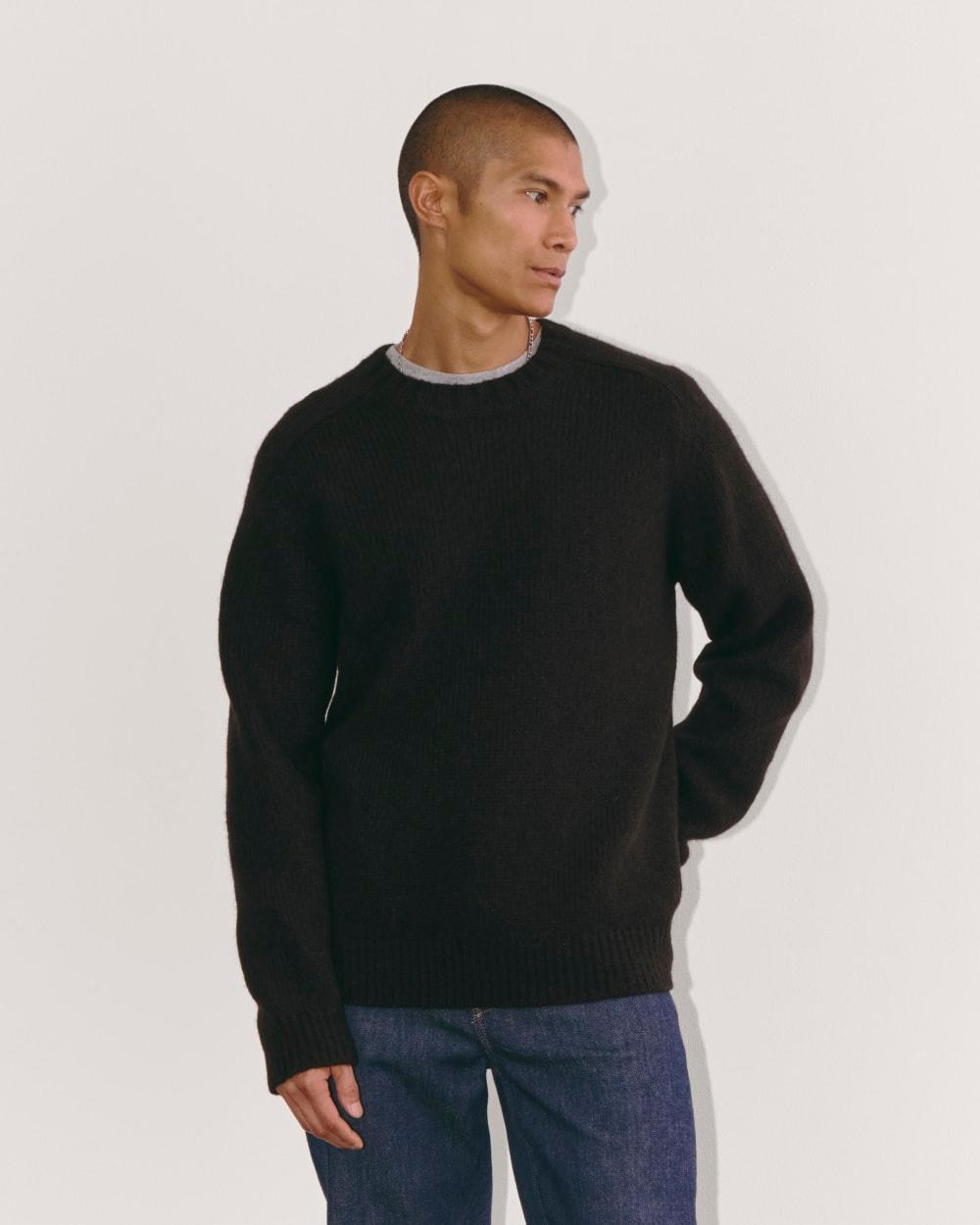 Mens Cloud Crewneck Sweater by Everlane Product Image