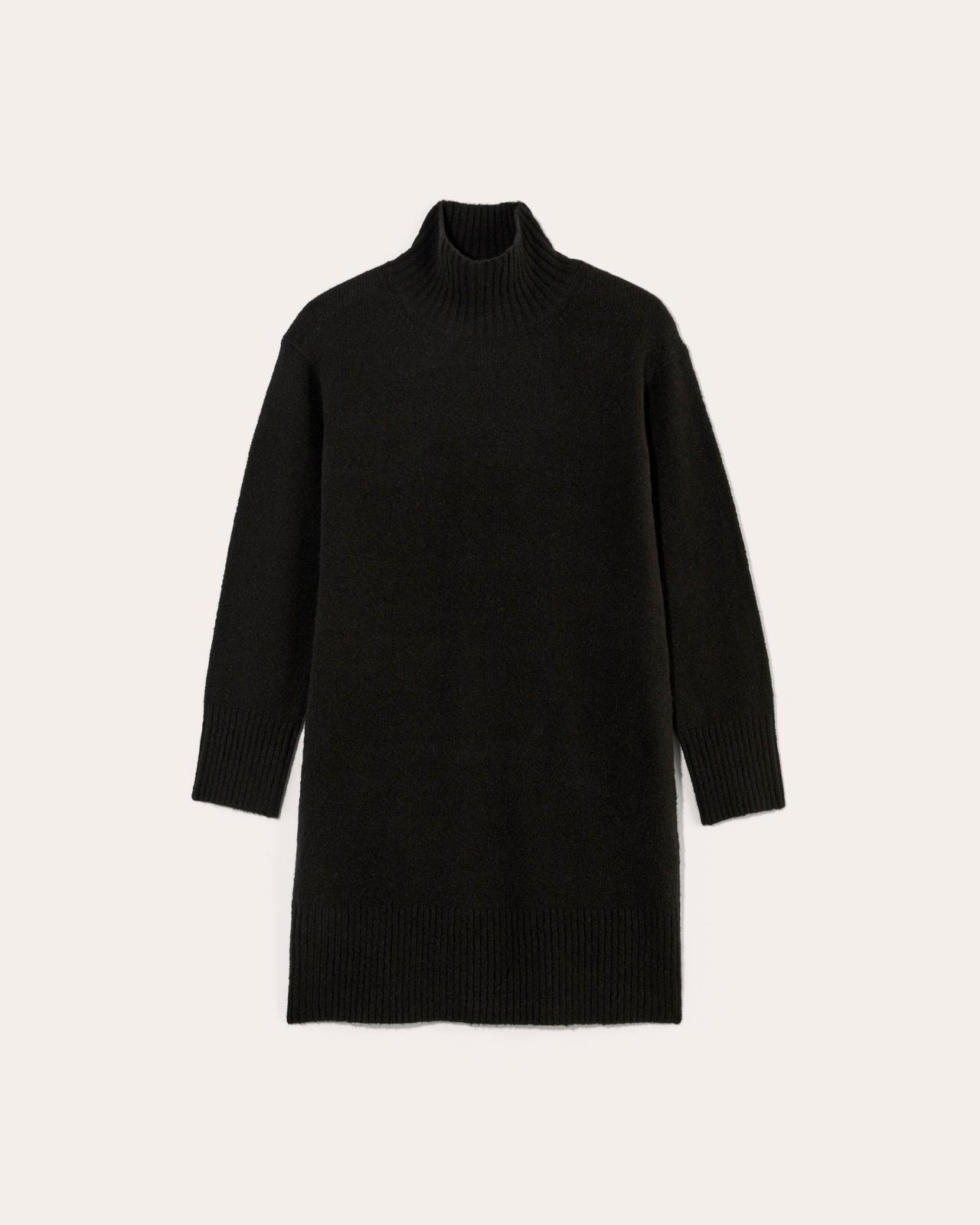 Womens Sweater Dress in Plush Cotton by Everlane Product Image