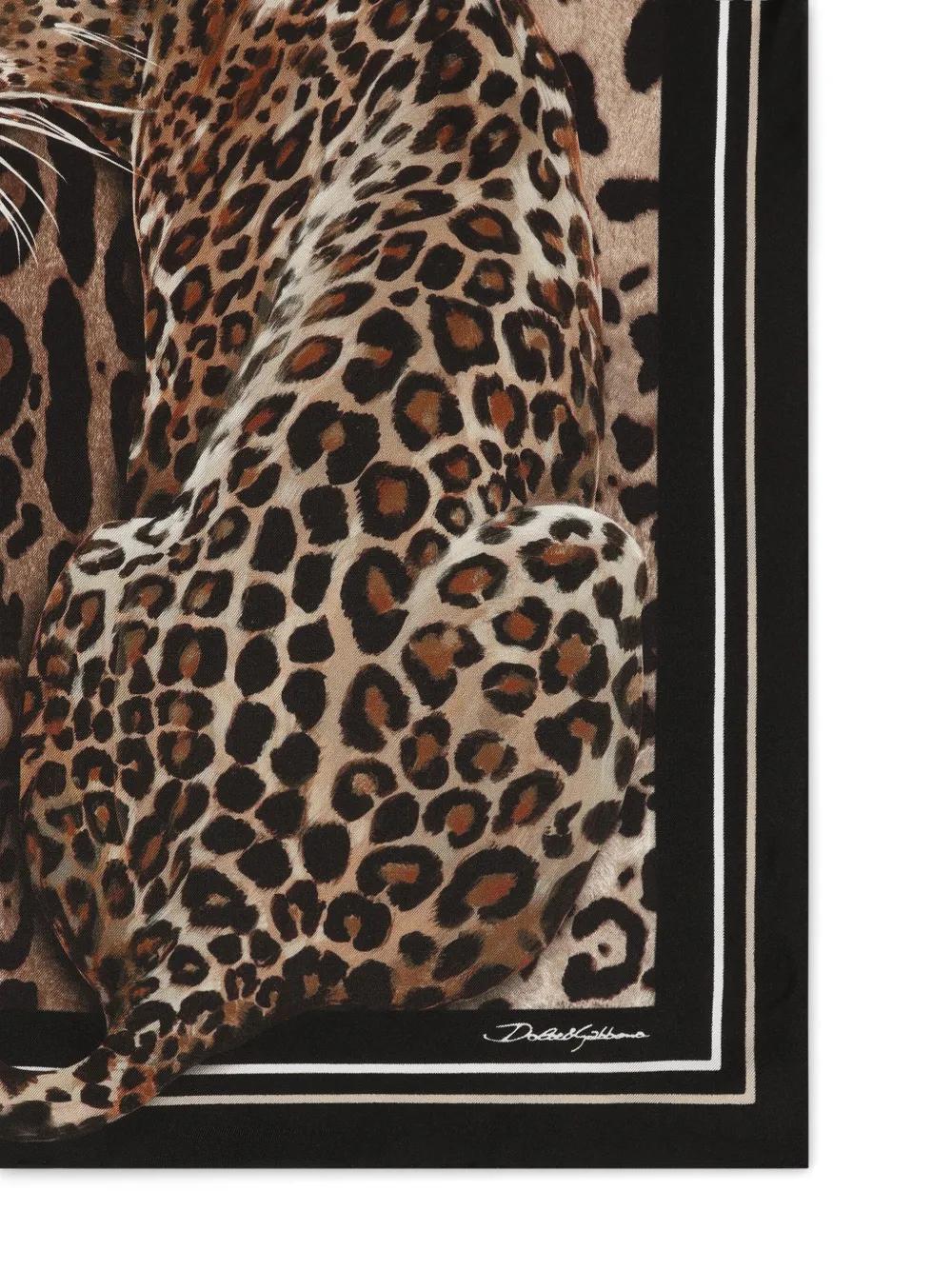 DOLCE & GABBANA Leopard-print Scarf In Brown Product Image