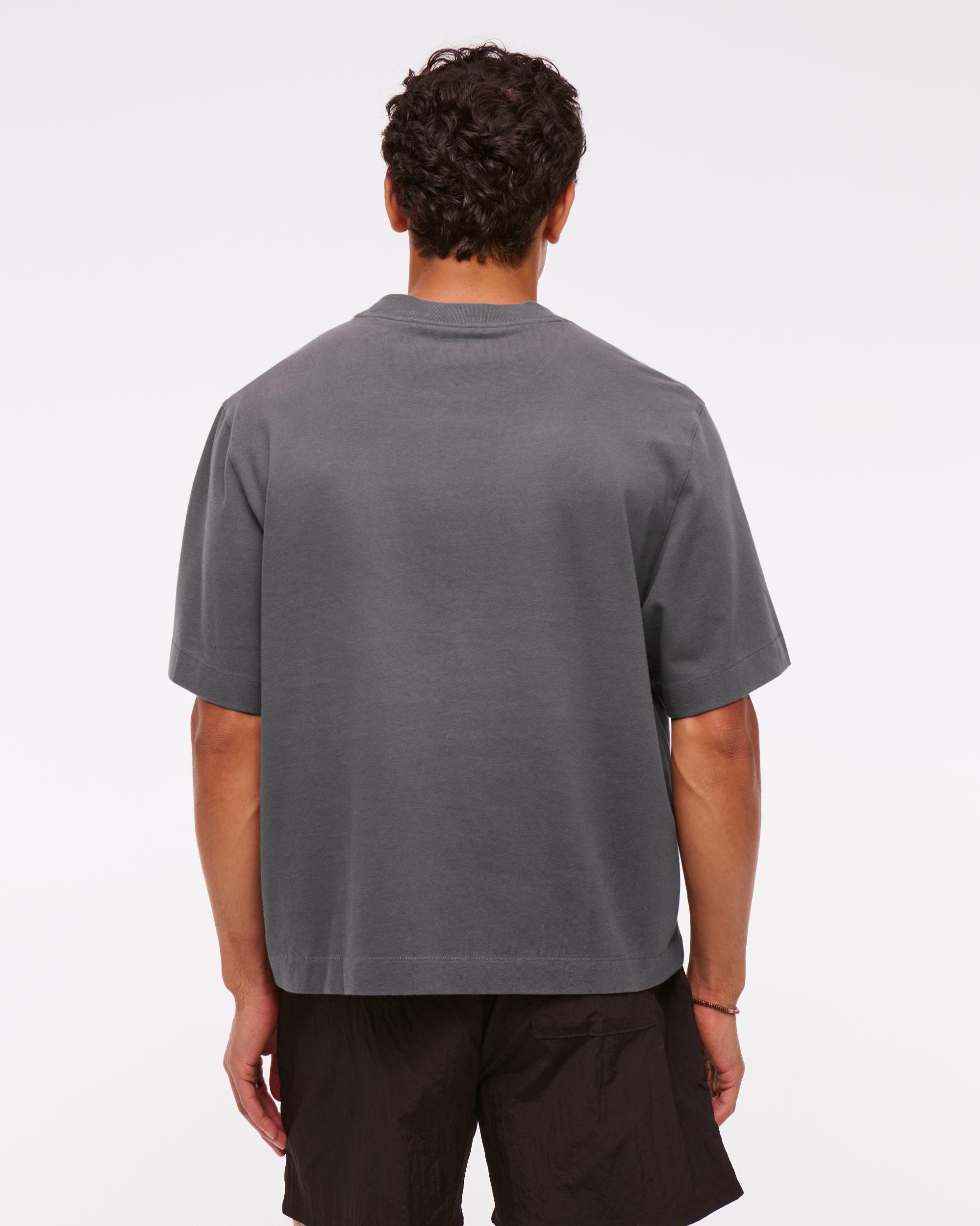Premium Heavyweight Cropped Tee Product Image
