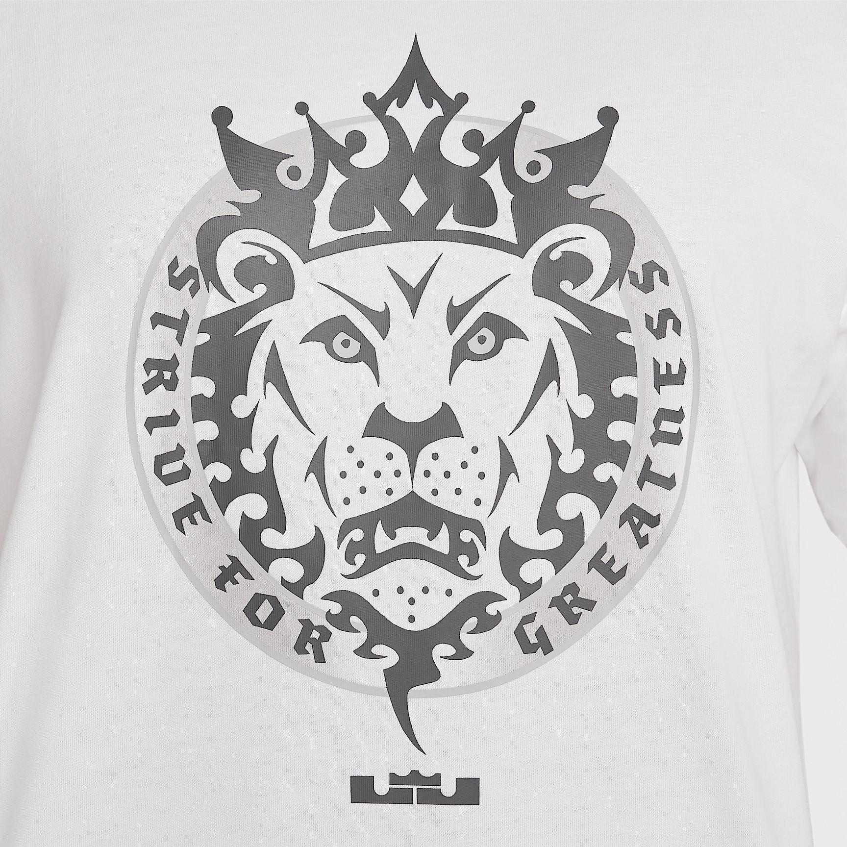 LeBron Men's Max90 Basketball T-Shirt Product Image