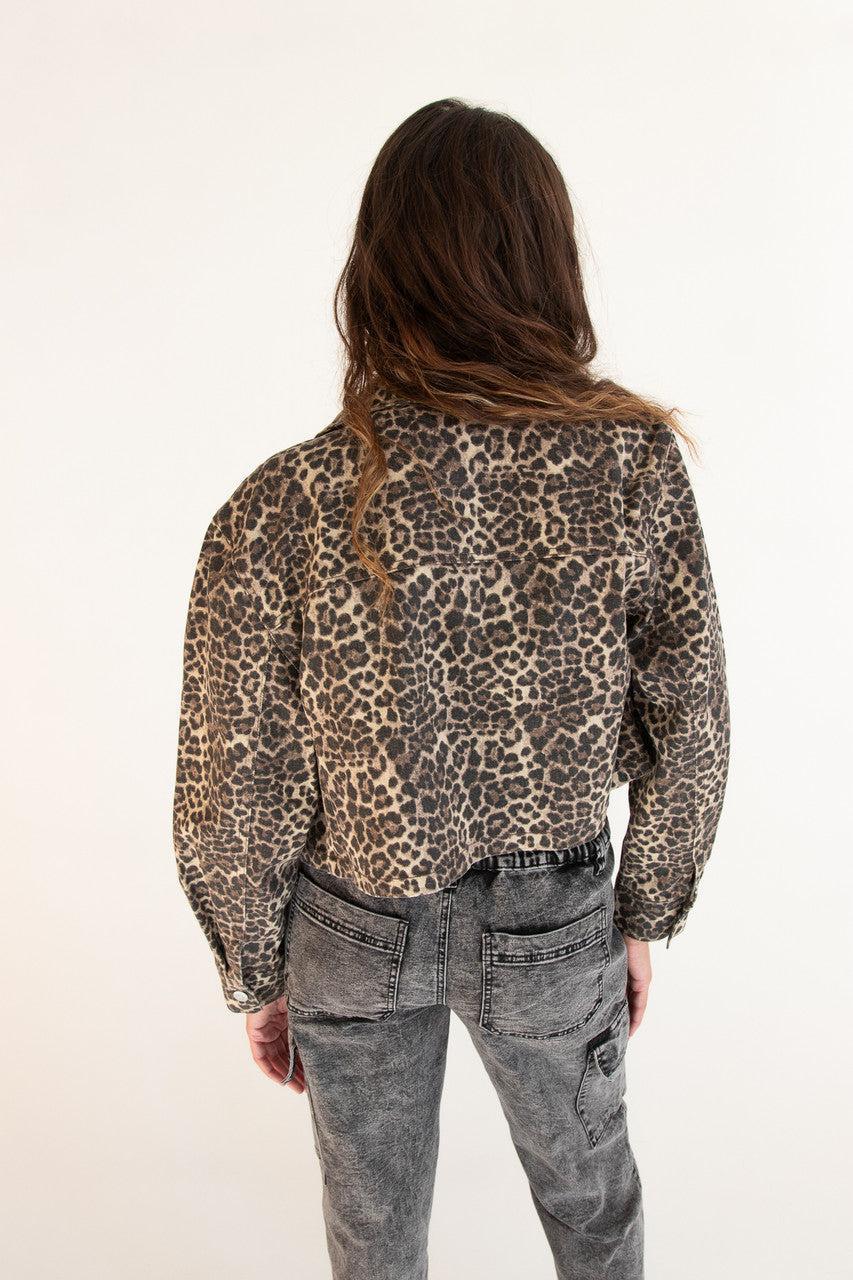 Leopard Cropped Jean Jacket Product Image