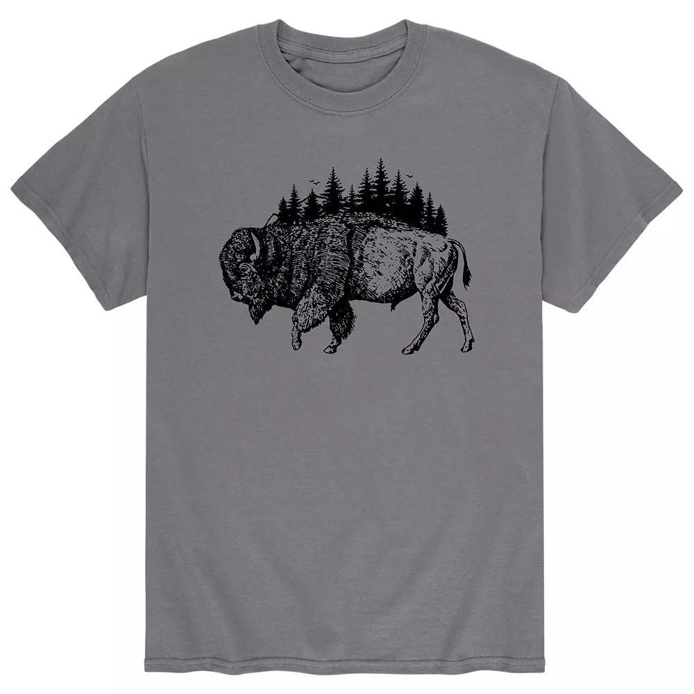 Men's Bison Mountain tee,  Product Image