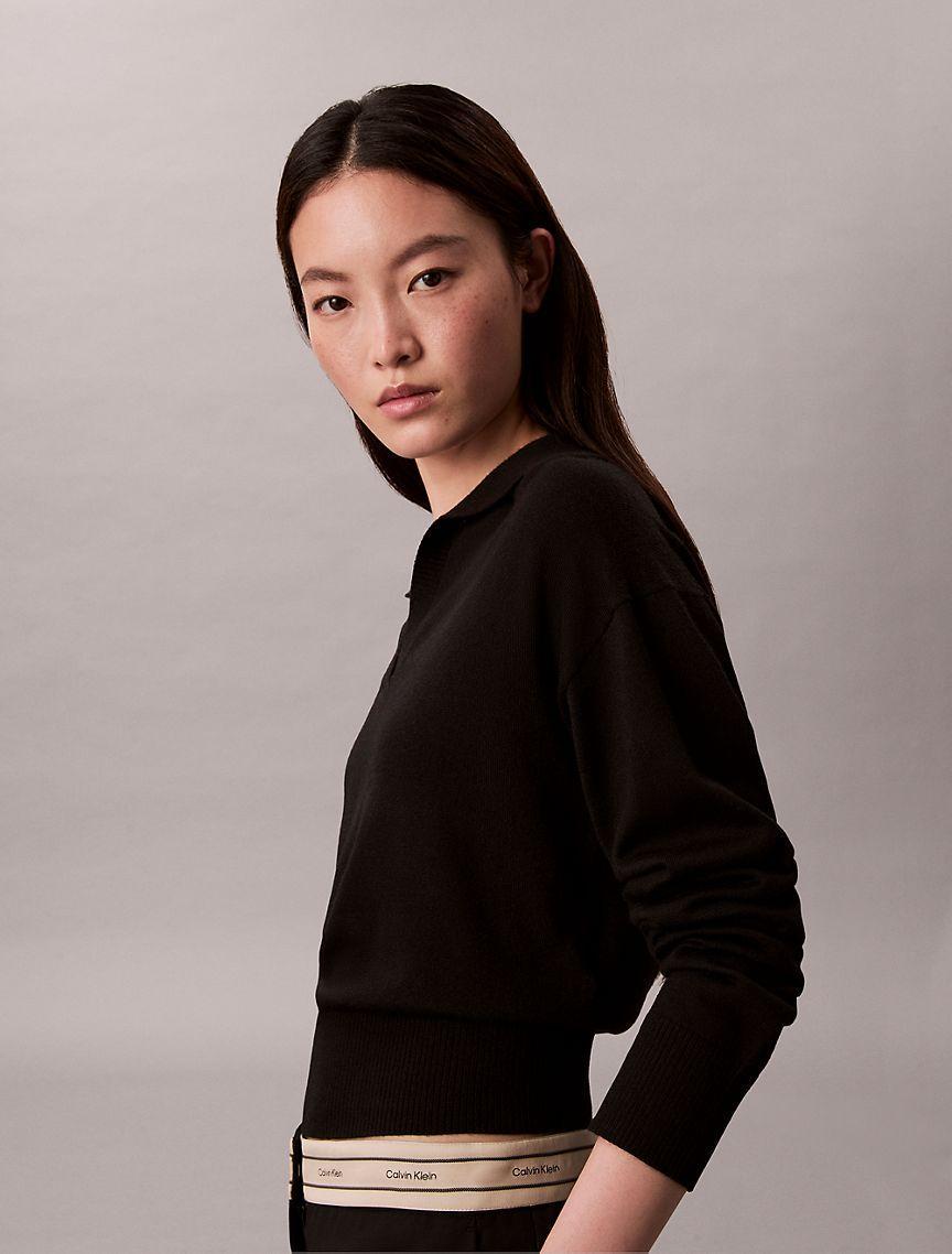 Merino Wool Blend Relaxed Polo Sweater Product Image