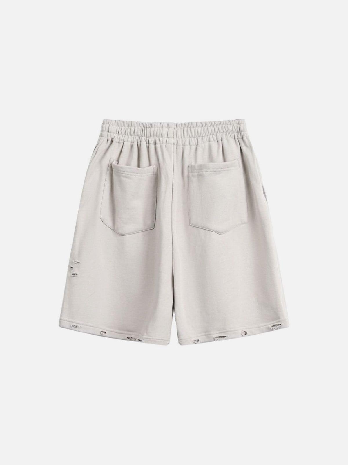 Aelfric Eden Distressed Shorts Product Image