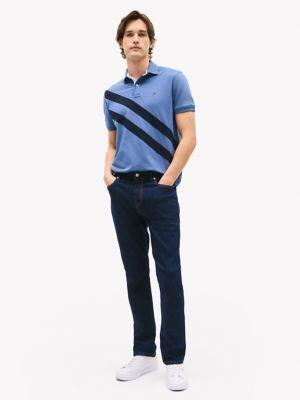 Regular Fit Banner Stripe Polo Product Image