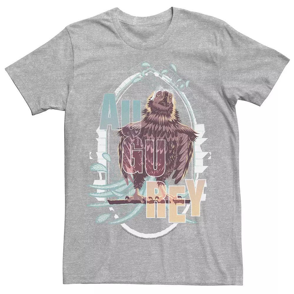 Men's Harry Potter Fantastic Beasts Augurey The Irish Phoenix Graphic Tee, Size: XXL, Athletic Grey Product Image