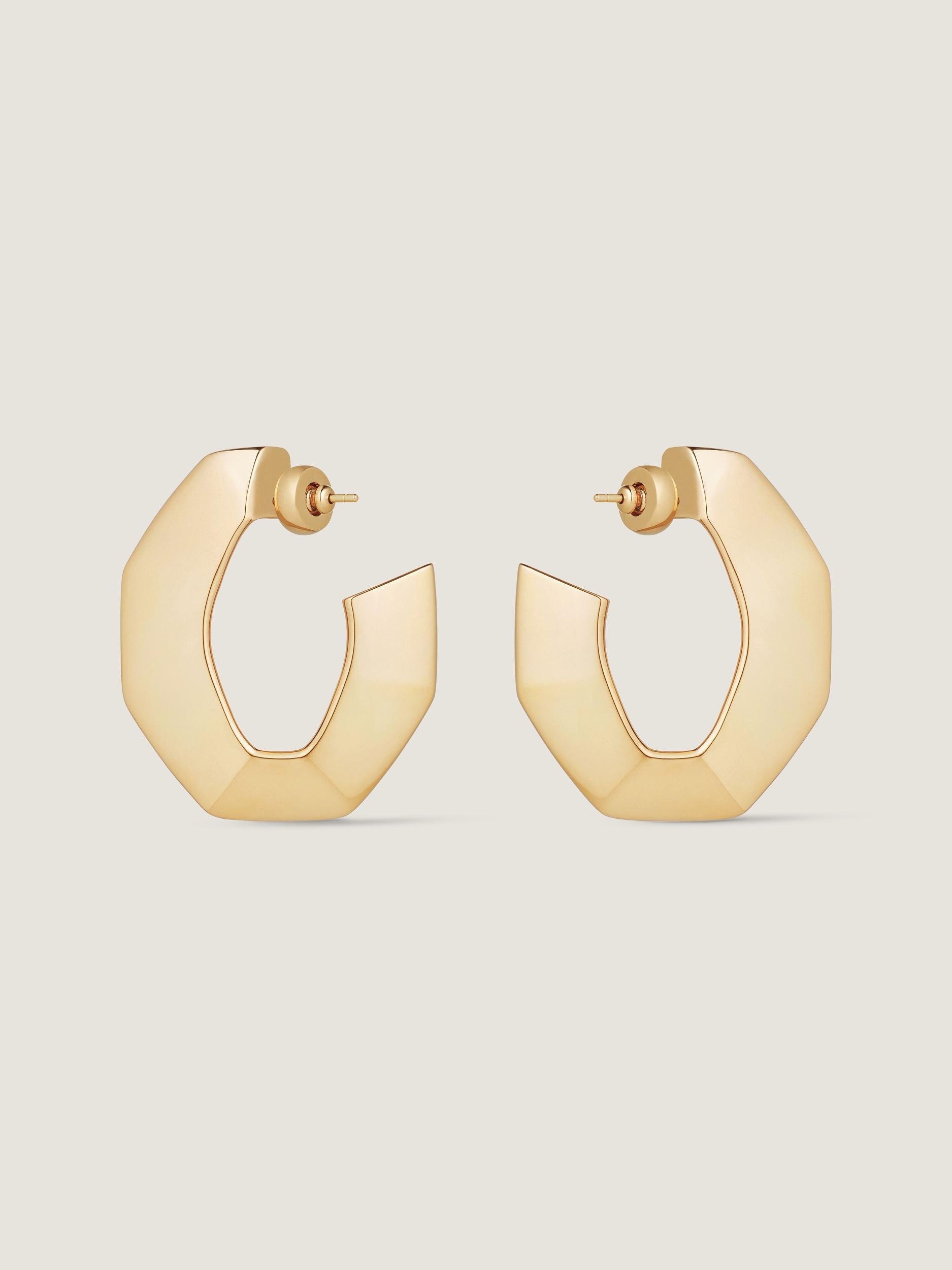 Chain earrings in metal Product Image