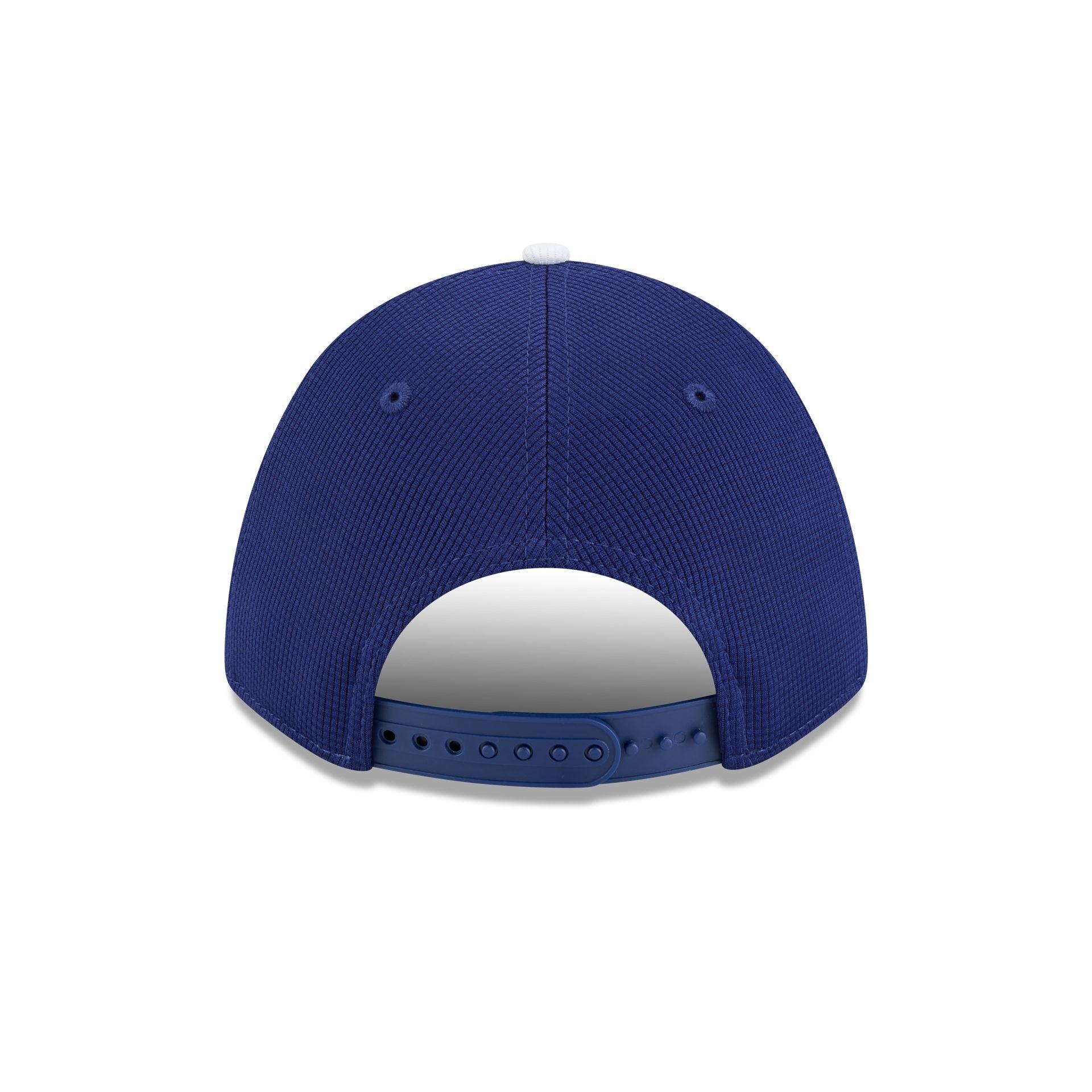 Los Angeles Dodgers 2025 Batting Practice 9FORTY M-Crown Snapback Hat Male Product Image