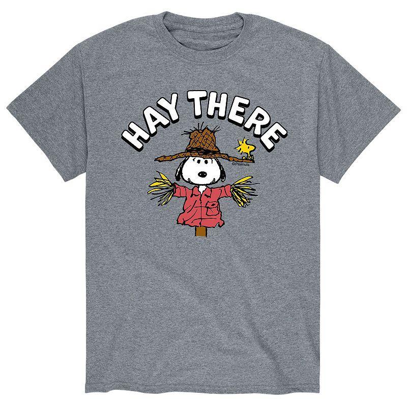 Big & Tall Peanuts Snoopy Hay There Tee, Men's, Size: 4XL Tall, Gray Product Image