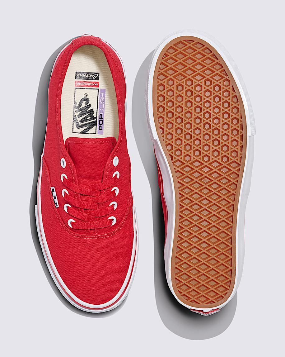 Customs Skate Authentic Shoe in Customs| Vans US Product Image