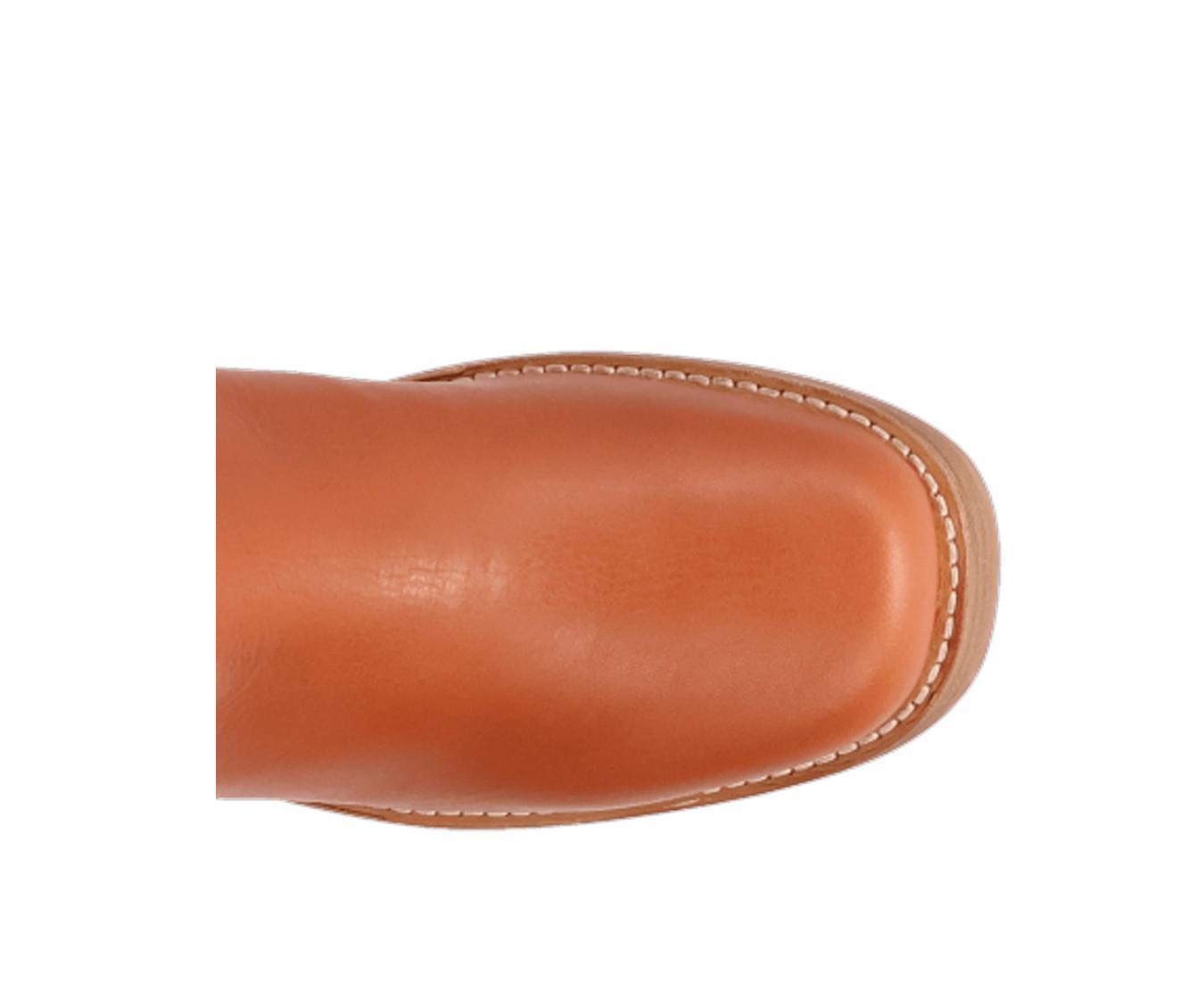 Women's Dingo Boot Roxy Booties Product Image