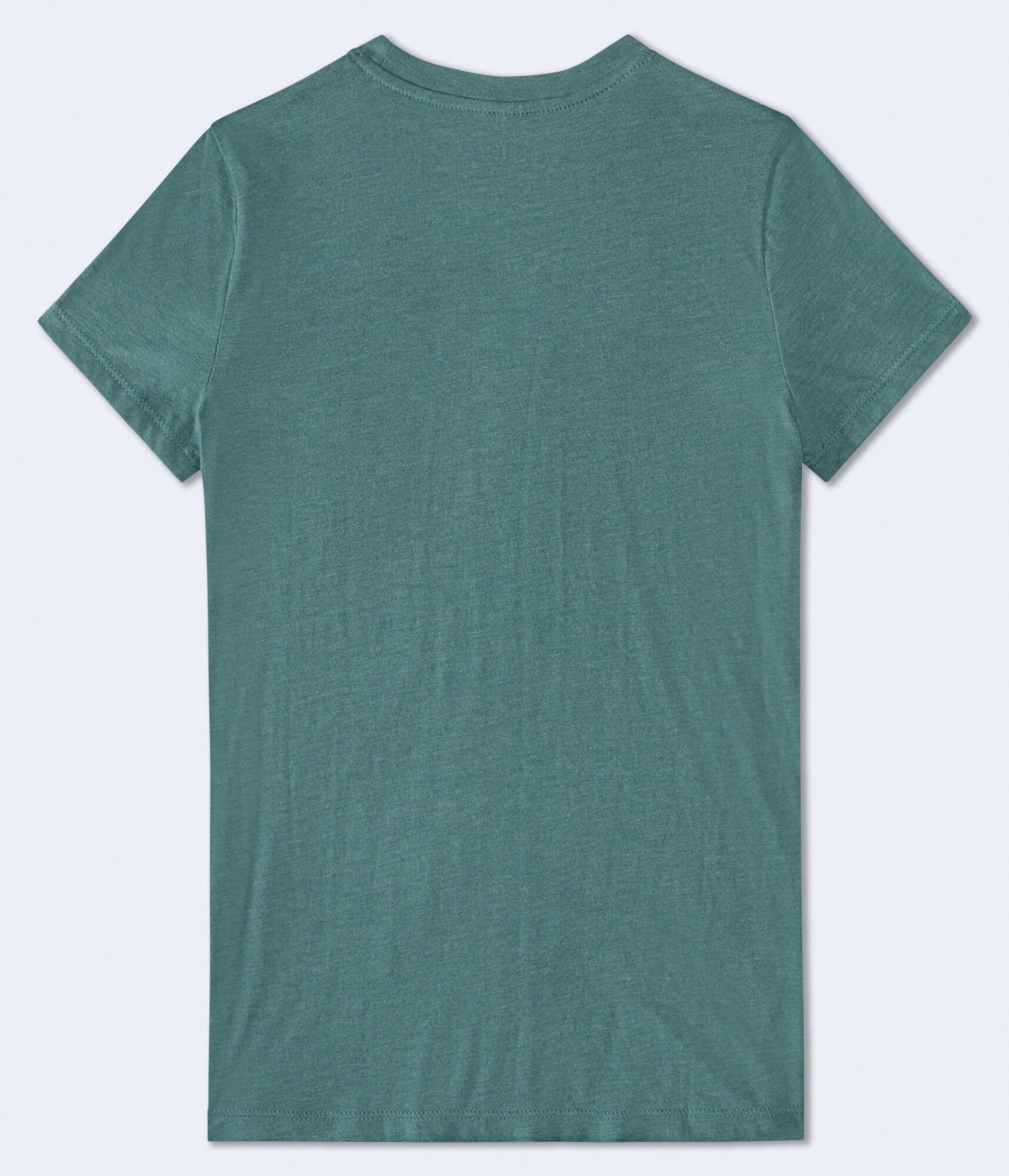 Aeropostale 87 Crest Flocked Graphic Tee Product Image