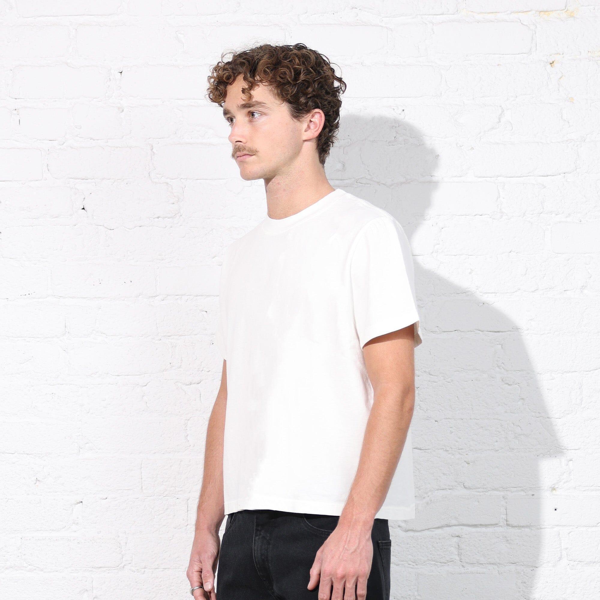 Silverlake Crop Tee II Product Image