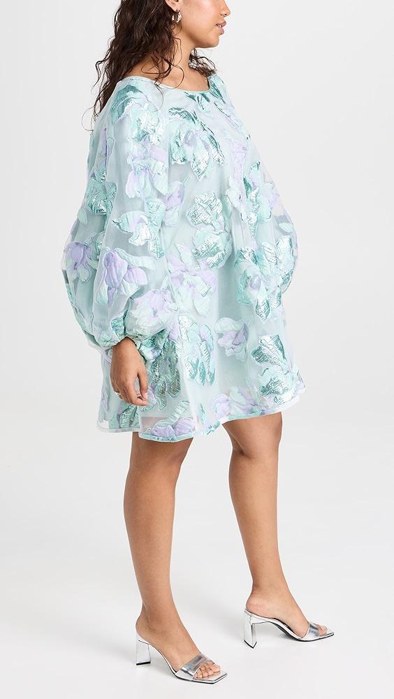 Arianne Elmy Sky Blue Magnolia Floral Organza Good Luck Dress | Shopbop Product Image