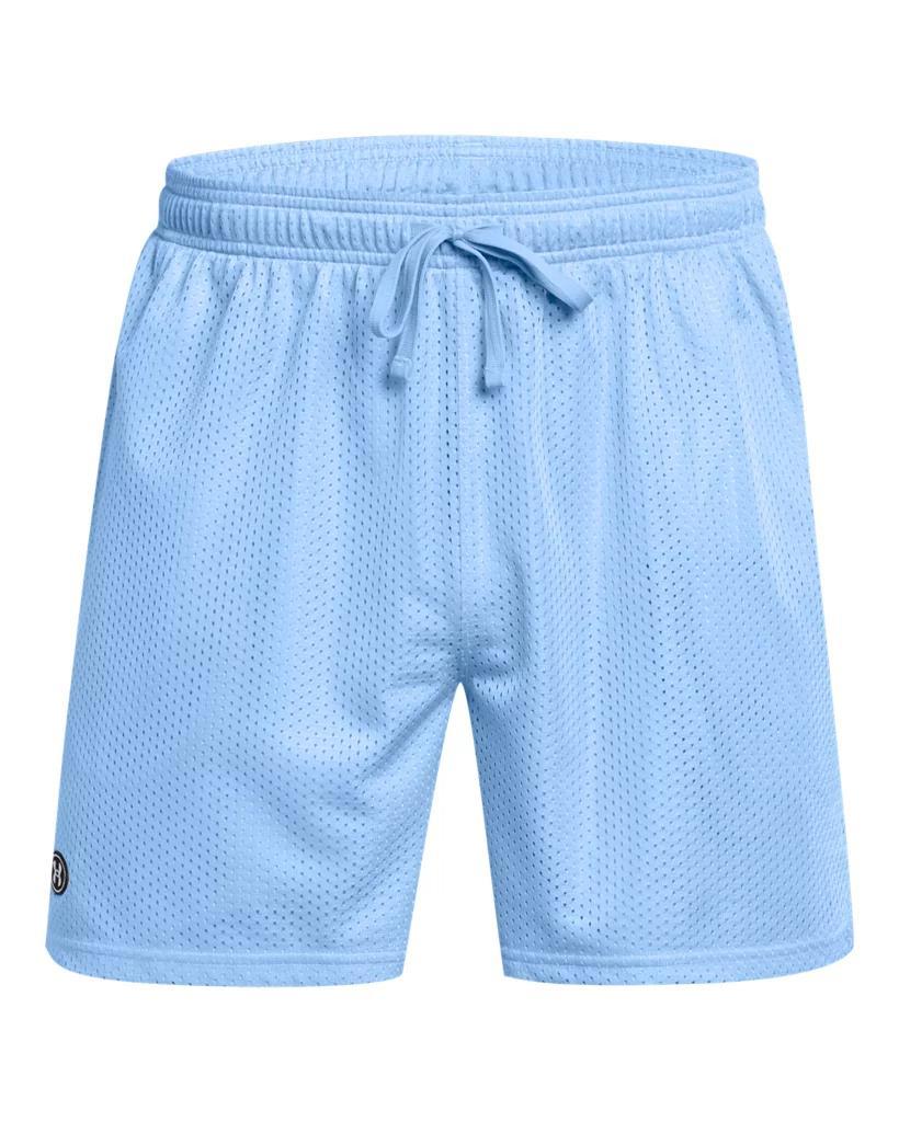 Men's UA Icon Mesh Shorts Product Image