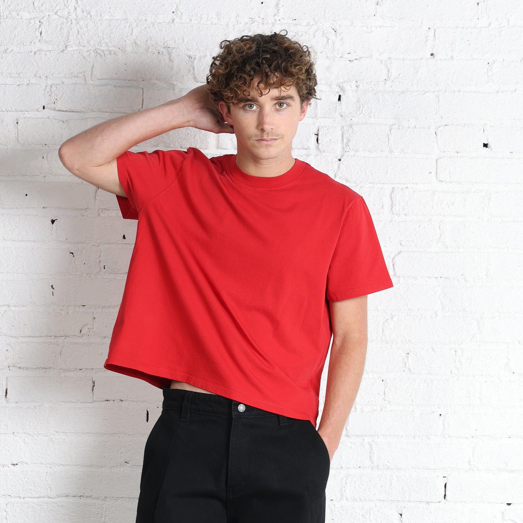 Silverlake Crop Tee II Product Image